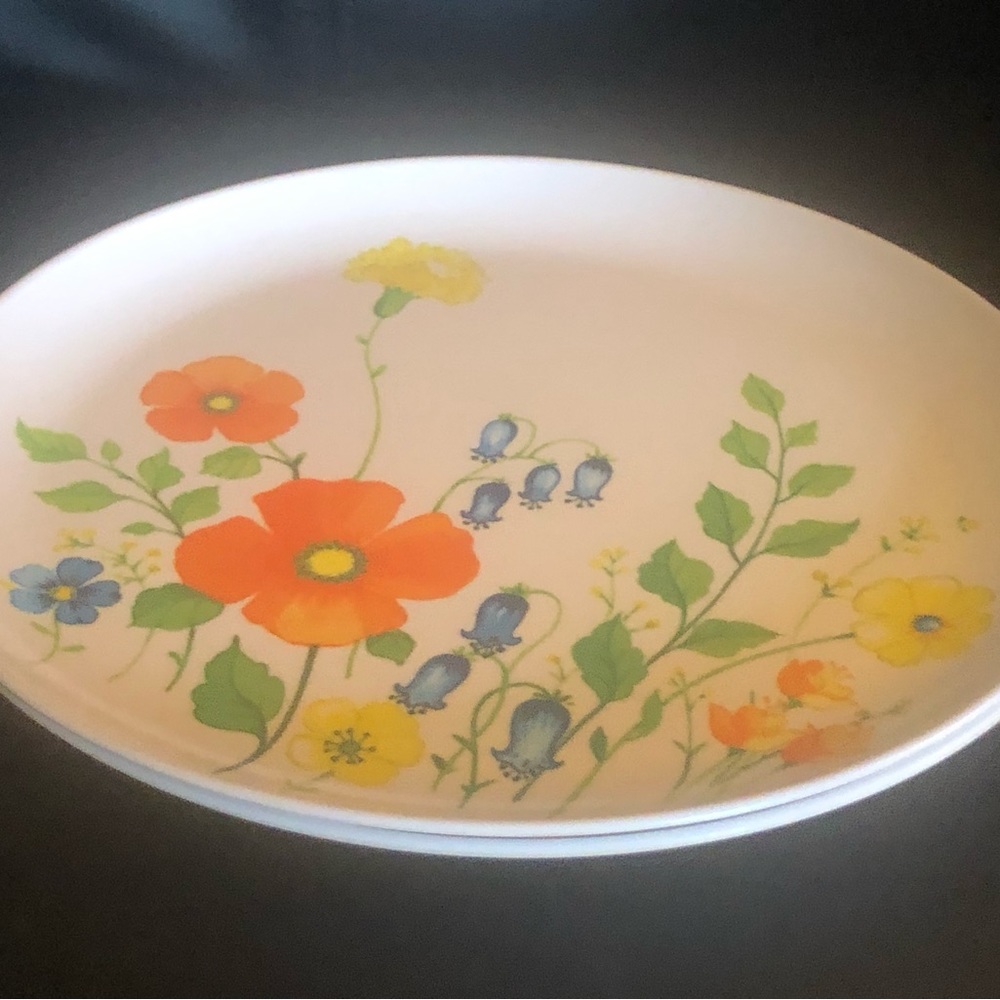 Vintage melamine floral dinner plates. Set of 2. Good condition